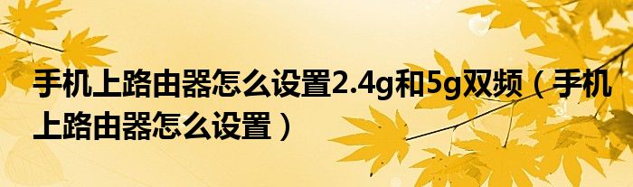 手机上路由器怎么设置2.4g和5g双频（手机上路由器怎么设置）