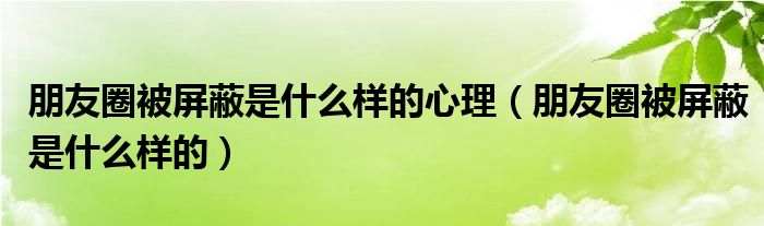 朋友圈被屏蔽是什么样的心理（朋友圈被屏蔽是什么样的）