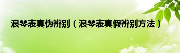 浪琴表真伪辨别（浪琴表真假辨别方法）