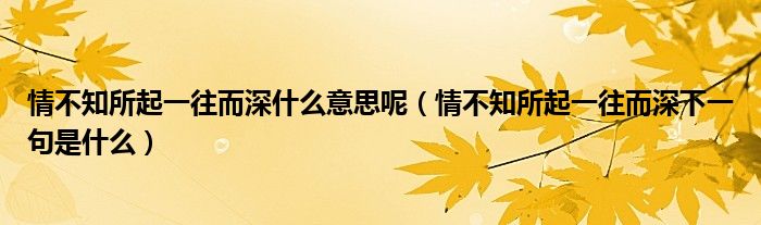 情不知所起一往而深什么意思呢（情不知所起一往而深下一句是什么）