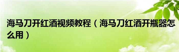 海马刀开红酒视频教程（海马刀红酒开瓶器怎么用）