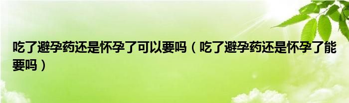 吃了避孕药还是怀孕了可以要吗（吃了避孕药还是怀孕了能要吗）