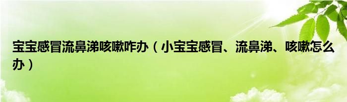 宝宝感冒流鼻涕咳嗽咋办（小宝宝感冒、流鼻涕、咳嗽怎么办）