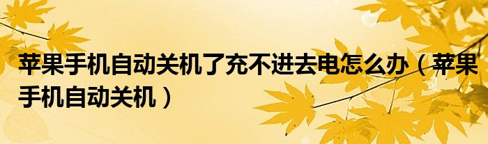 苹果手机自动关机了充不进去电怎么办（苹果手机自动关机）