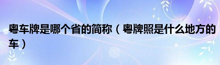 粤车牌是哪个省的简称（粤牌照是什么地方的车）