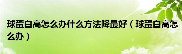 球蛋白高怎么办什么方法降最好（球蛋白高怎么办）