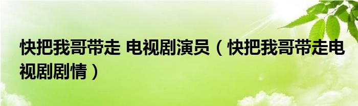 快把我哥带走 电视剧演员（快把我哥带走电视剧剧情）