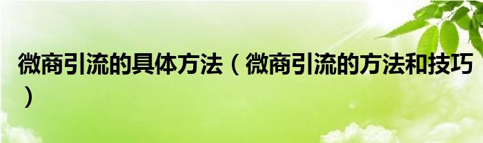 微商引流的具体方法（微商引流的方法和技巧）