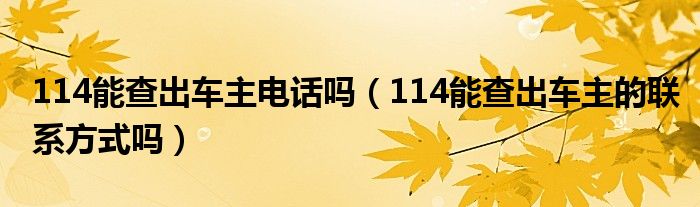 114能查出车主电话吗（114能查出车主的联系方式吗）