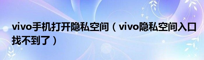 vivo手机打开隐私空间（vivo隐私空间入口找不到了）