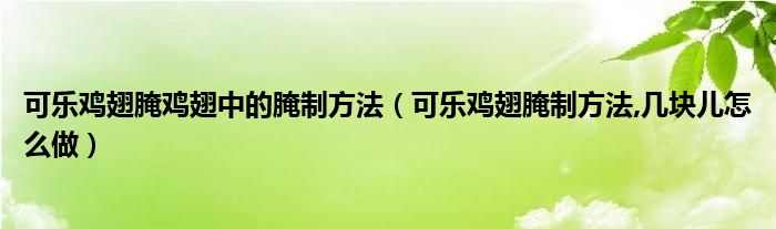 可乐鸡翅腌鸡翅中的腌制方法（可乐鸡翅腌制方法,几块儿怎么做）