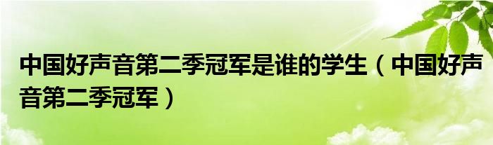 中国好声音第二季冠军是谁的学生（中国好声音第二季冠军）