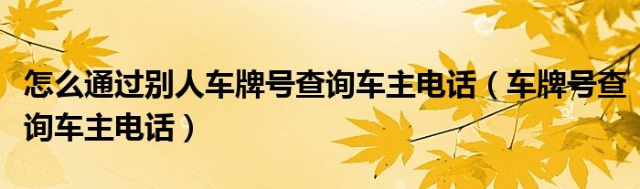 怎么通过别人车牌号查询车主电话（车牌号查询车主电话）