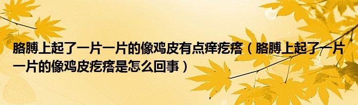 胳膊上起了一片一片的像鸡皮有点痒疙瘩（胳膊上起了一片一片的像鸡皮疙瘩是怎么回事）