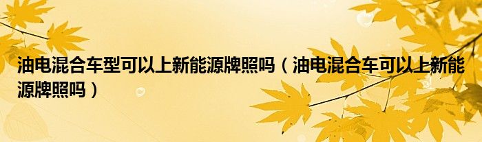 油电混合车型可以上新能源牌照吗（油电混合车可以上新能源牌照吗）