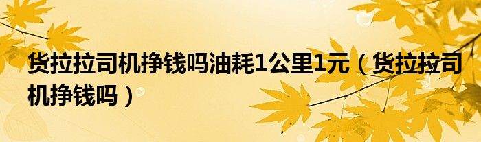 货拉拉司机挣钱吗油耗1公里1元（货拉拉司机挣钱吗）