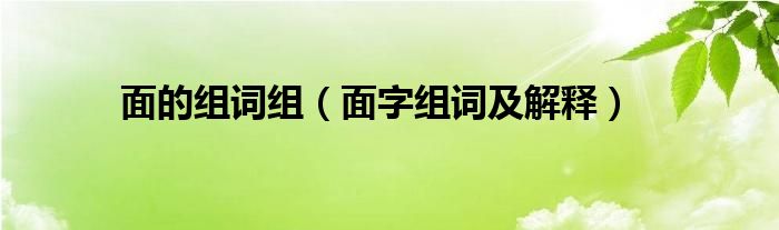 面的组词组（面字组词及解释）