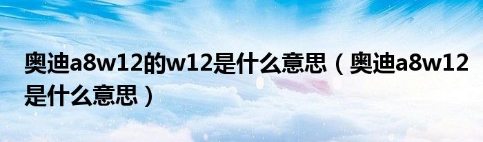 奥迪a8w12的w12是什么意思（奥迪a8w12是什么意思）