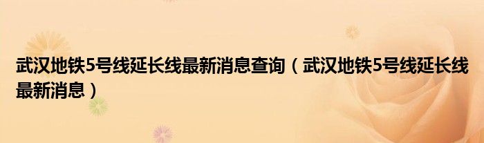 武汉地铁5号线延长线最新消息查询（武汉地铁5号线延长线最新消息）