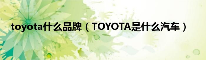 toyota什么品牌（TOYOTA是什么汽车）