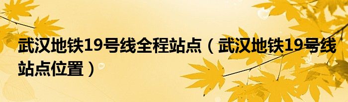 武汉地铁19号线全程站点（武汉地铁19号线站点位置）