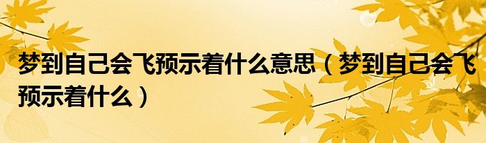 梦到自己会飞预示着什么意思（梦到自己会飞预示着什么）