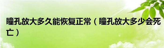 瞳孔放大多久能恢复正常（瞳孔放大多少会死亡）