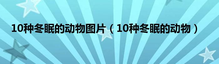 10种冬眠的动物图片（10种冬眠的动物）