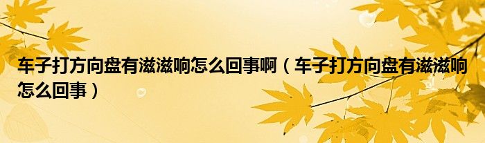 车子打方向盘有滋滋响怎么回事啊（车子打方向盘有滋滋响怎么回事）