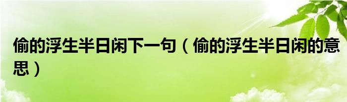 偷的浮生半日闲下一句（偷的浮生半日闲的意思）