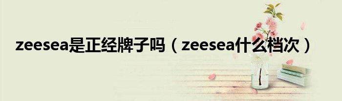 zeesea是正经牌子吗（zeesea什么档次）