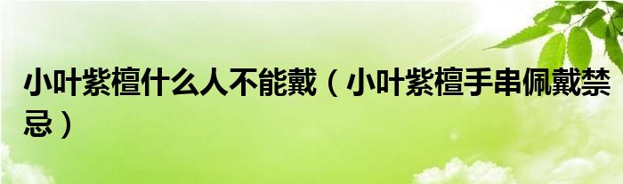 小叶紫檀什么人不能戴（小叶紫檀手串佩戴禁忌）