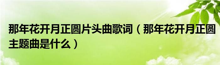 那年花开月正圆片头曲歌词（那年花开月正圆主题曲是什么）