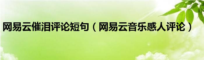 网易云催泪评论短句（网易云音乐感人评论）