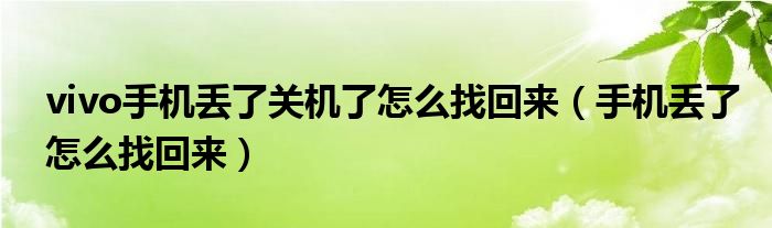 vivo手机丢了关机了怎么找回来（手机丢了怎么找回来）