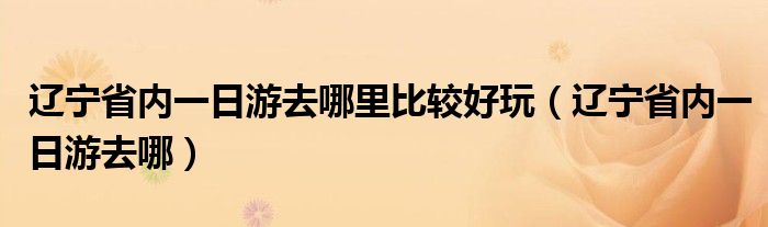 辽宁省内一日游去哪里比较好玩（辽宁省内一日游去哪）