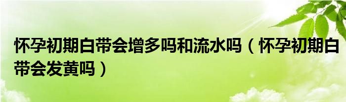 怀孕初期白带会增多吗和流水吗（怀孕初期白带会发黄吗）