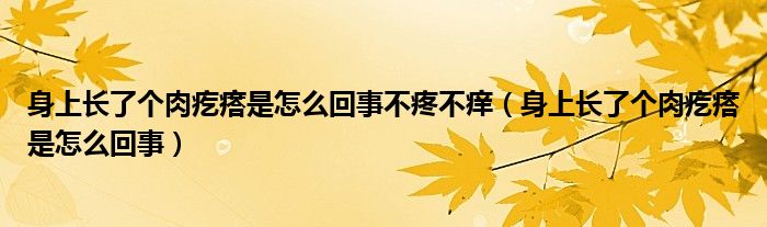 身上长了个肉疙瘩是怎么回事不疼不痒（身上长了个肉疙瘩是怎么回事）