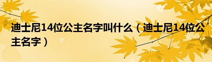 迪士尼14位公主名字叫什么（迪士尼14位公主名字）