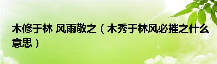 木修于林 风雨敬之（木秀于林风必摧之什么意思）