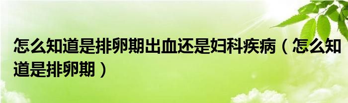 怎么知道是排卵期出血还是妇科疾病（怎么知道是排卵期）