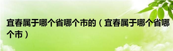 宜春属于哪个省哪个市的（宜春属于哪个省哪个市）