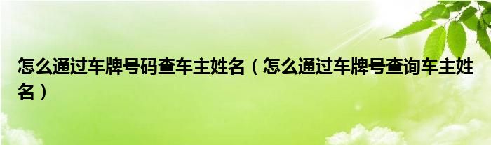 怎么通过车牌号码查车主姓名（怎么通过车牌号查询车主姓名）