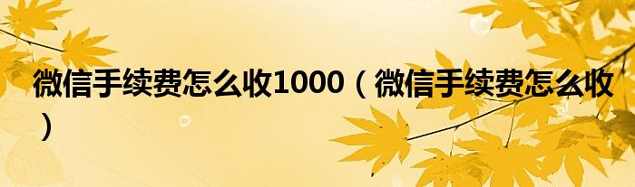 微信手续费怎么收1000（微信手续费怎么收）