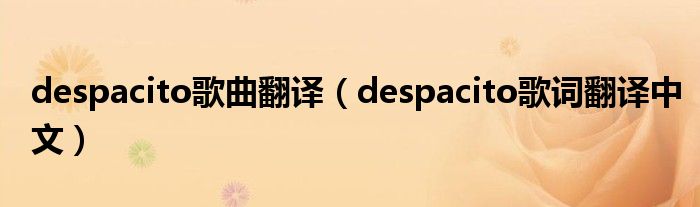 despacito歌曲翻译（despacito歌词翻译中文）