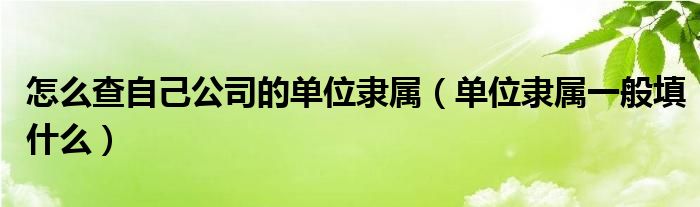 怎么查自己公司的单位隶属（单位隶属一般填什么）