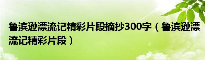 鲁滨逊漂流记精彩片段摘抄300字（鲁滨逊漂流记精彩片段）