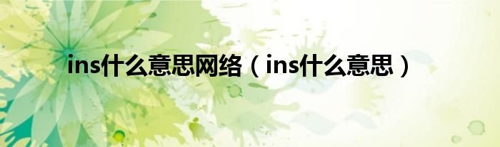 ins什么意思网络（ins什么意思）