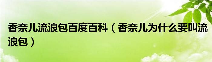 香奈儿流浪包百度百科（香奈儿为什么要叫流浪包）