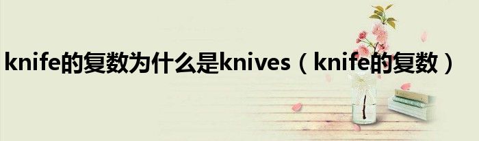 knife的复数为什么是knives（knife的复数）